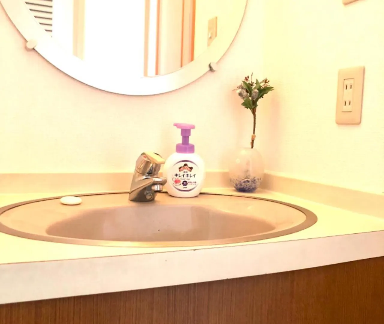 Aioi Lodge 小樽市 アパート